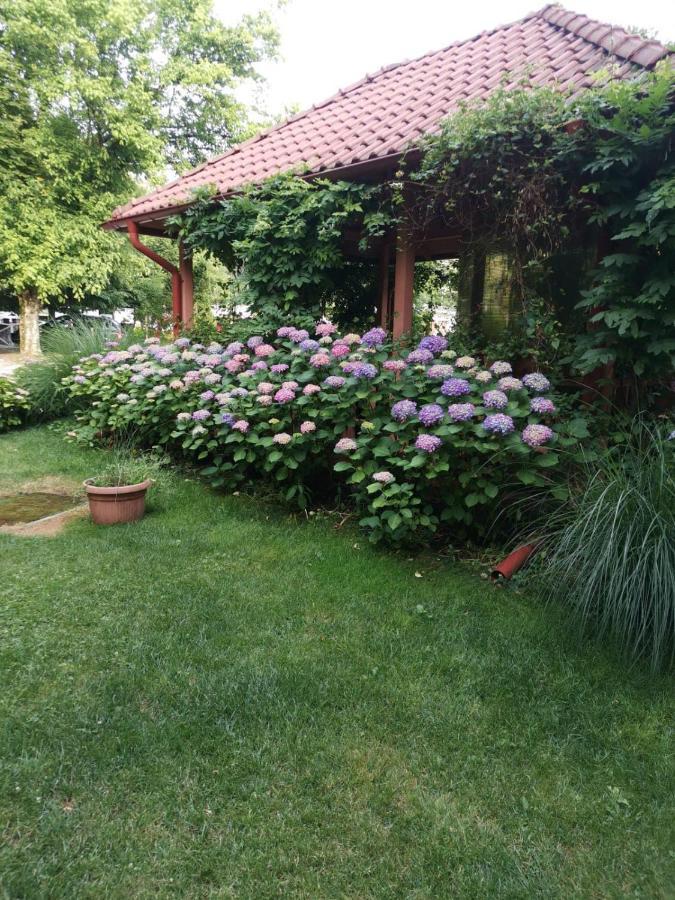 Vila Cerbul Albastru Moneasa Exterior foto