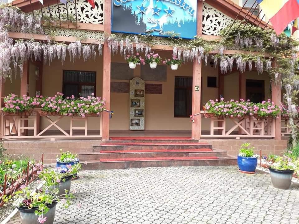 Vila Cerbul Albastru Moneasa Exterior foto
